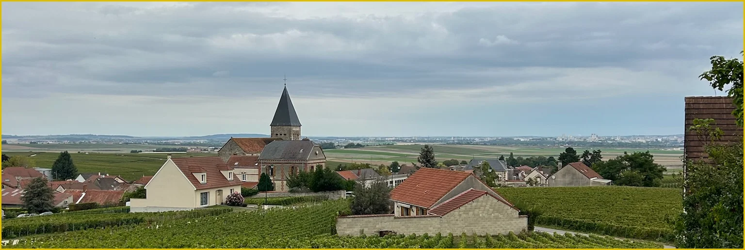 Landschap rond champagneregio Sacy